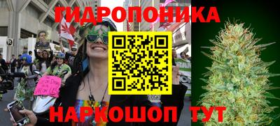гидропоника Бугуруслан