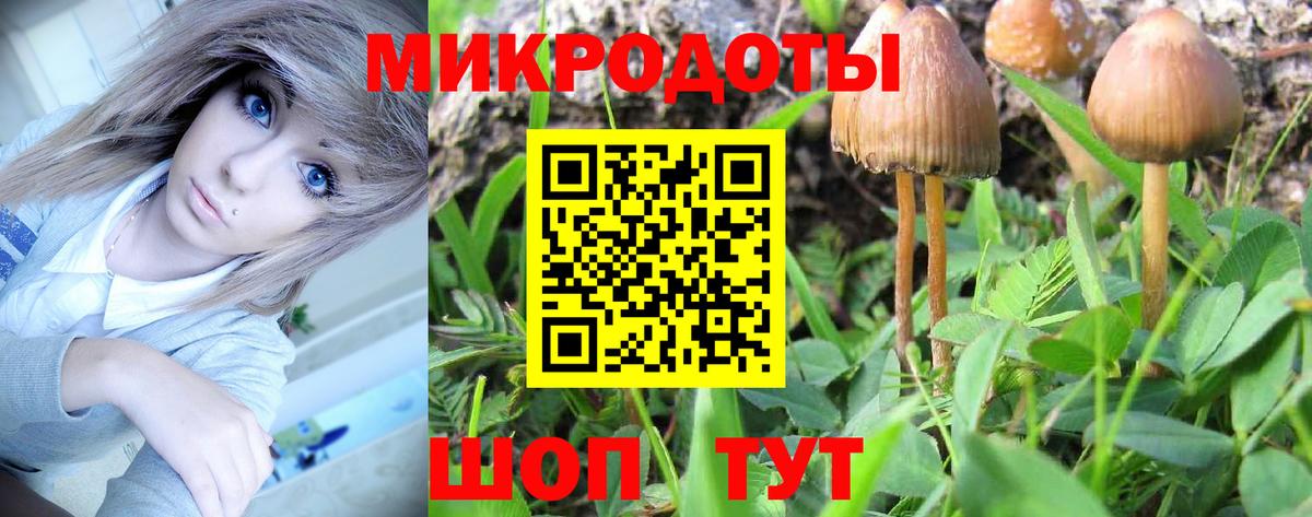 Нижнекамск  Галлюциногенные грибы MAGIC MUSHROOMS  Галлюциногенные грибы Magic Shrooms  Вход с VPN 